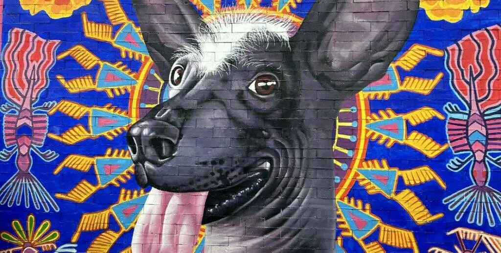 Dog in front of mural
