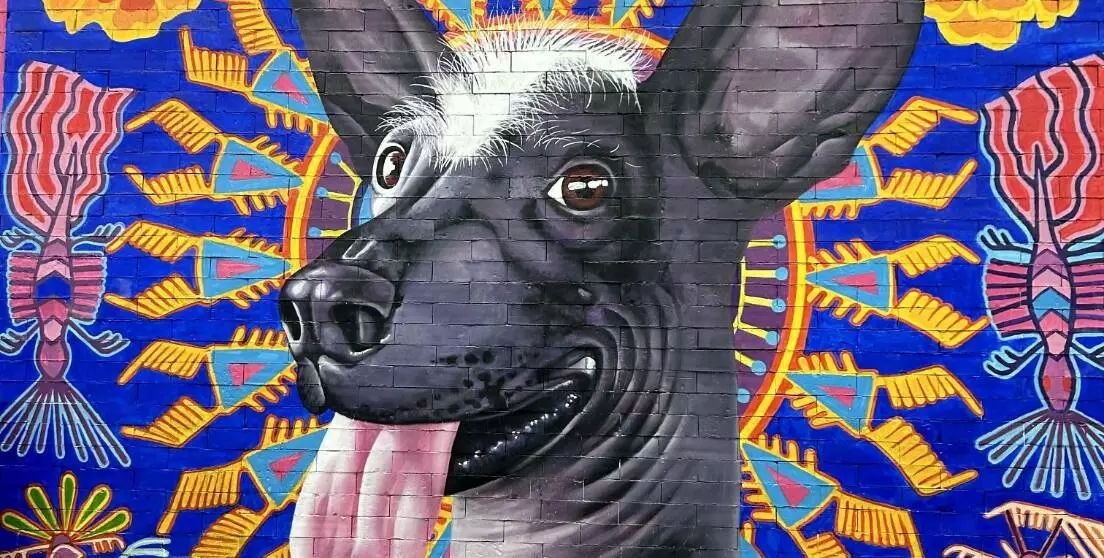 Dog in front of mural